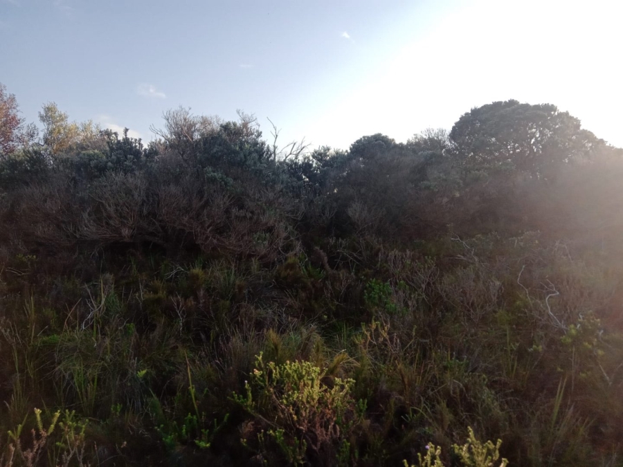 Commercial Property for Sale in Paradise Beach Eastern Cape